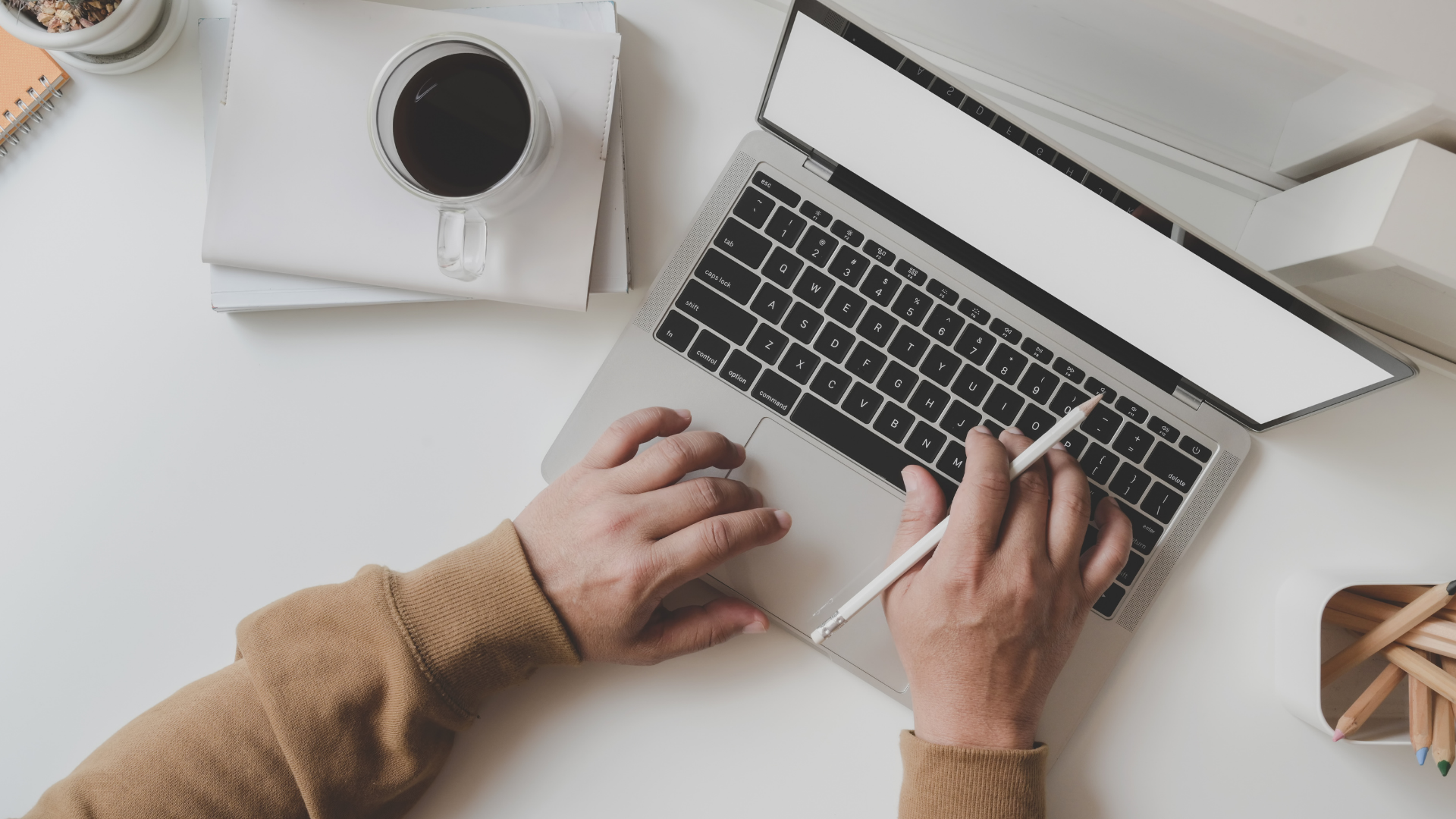 Website design, development and management