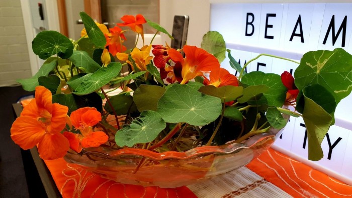 Flowers