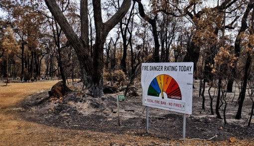 bushfire 4772240 1920